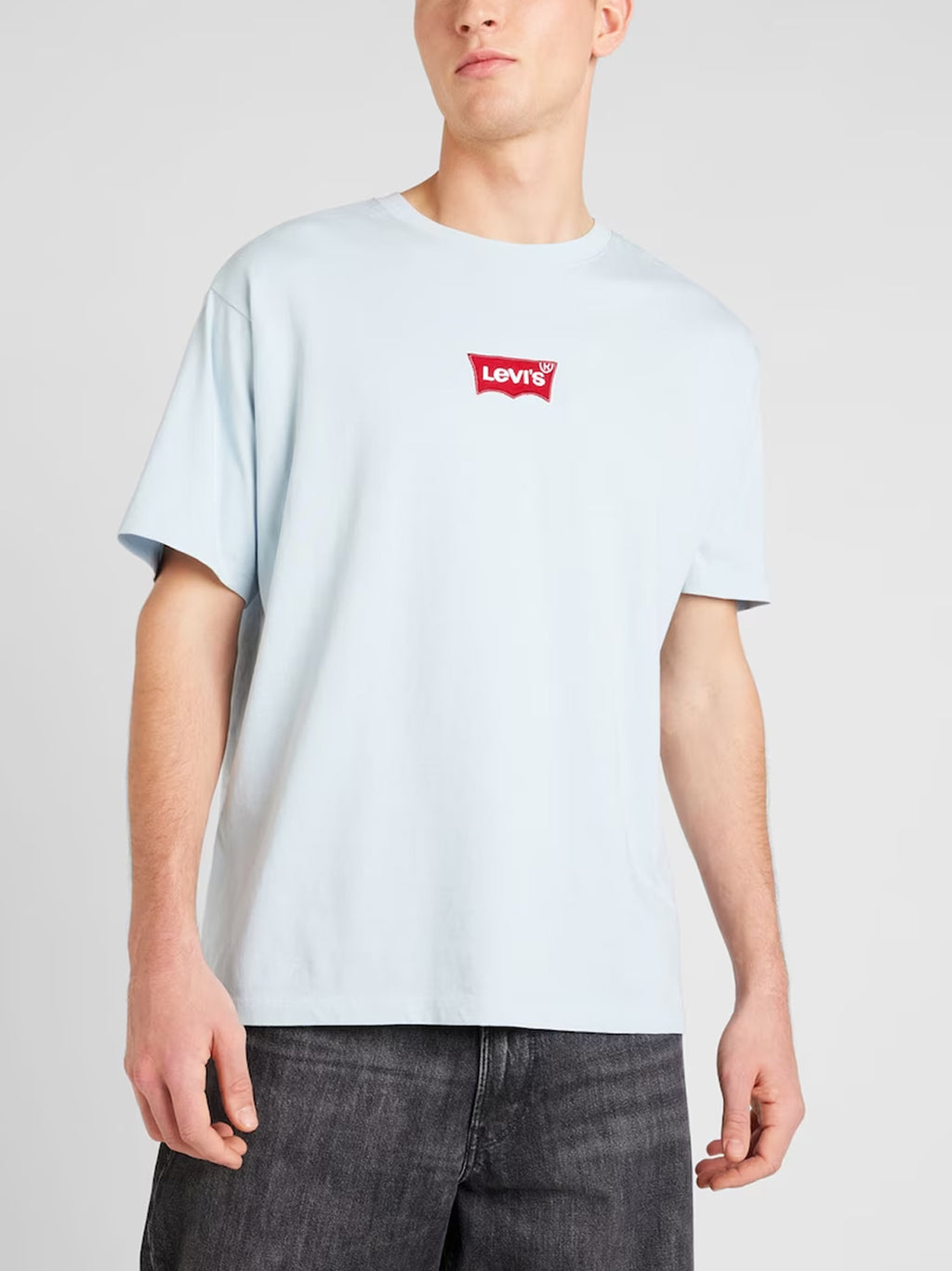 Mens Badge Niagara Mist Vintage Fit T-Shirt