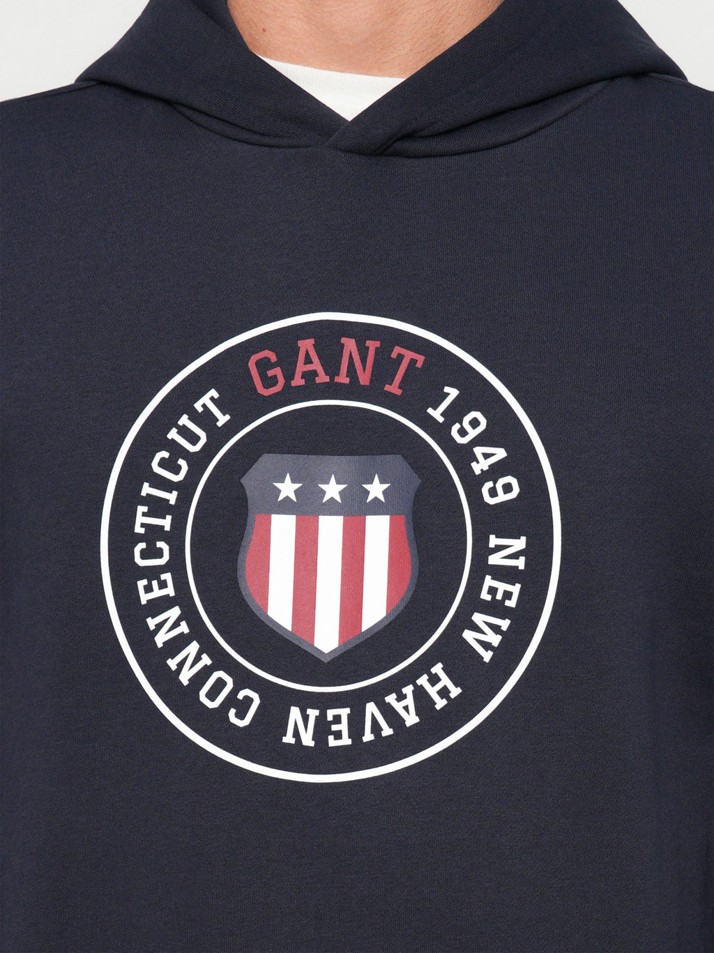 Mens Evening Blue Graphic Hoodie