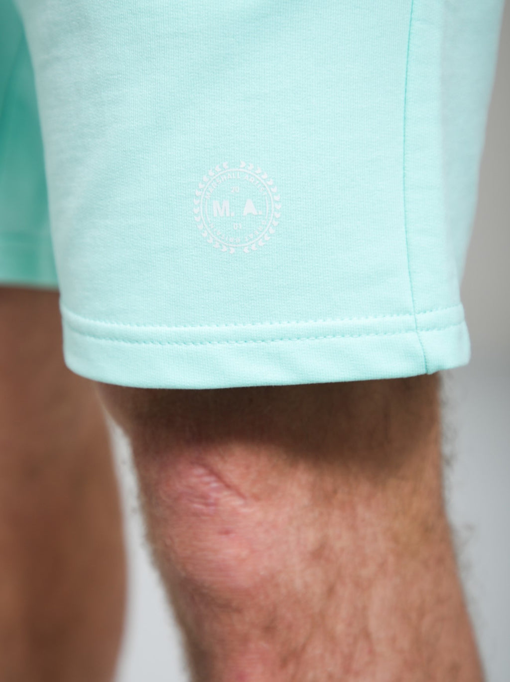 Mens Mint Delta Print Logo Short