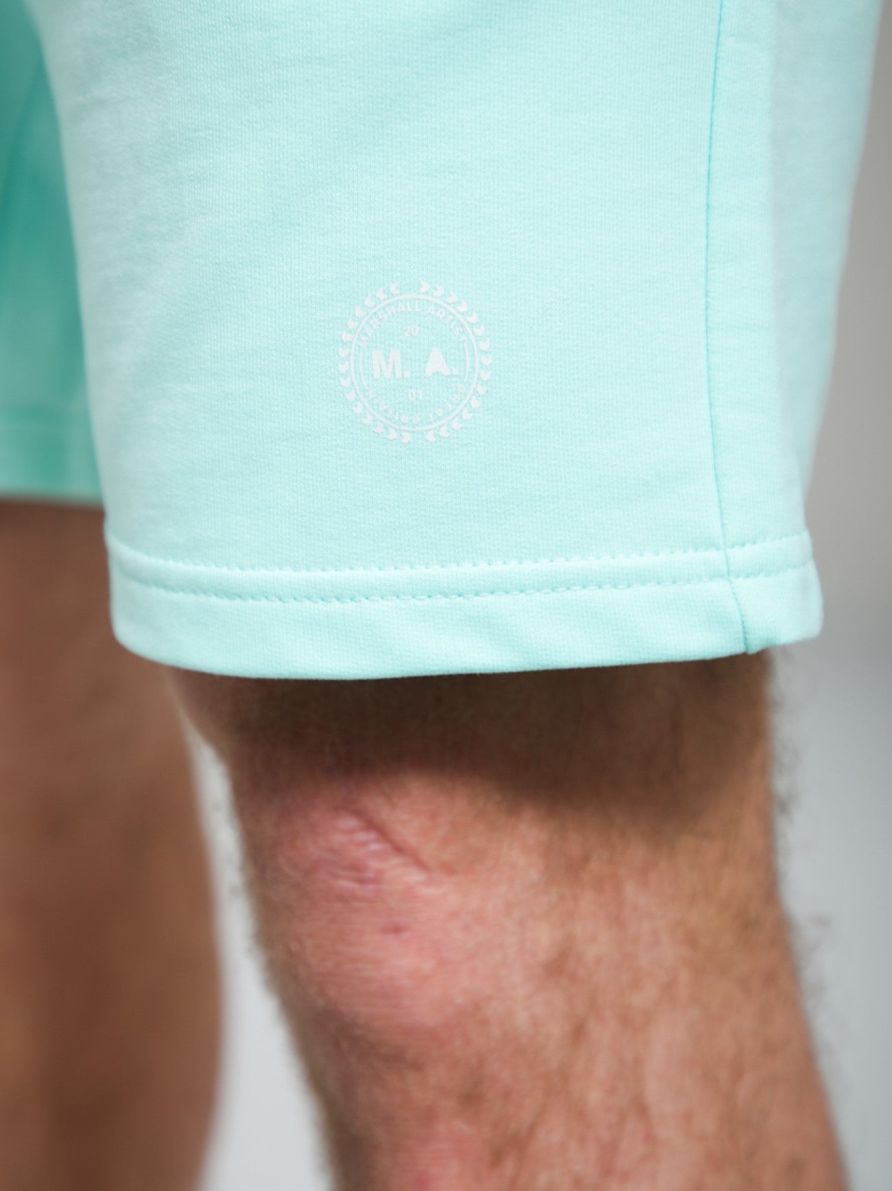 Mens Mint Delta Print Logo Short
